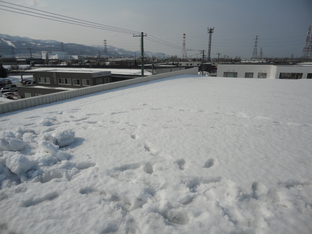 屋根積雪