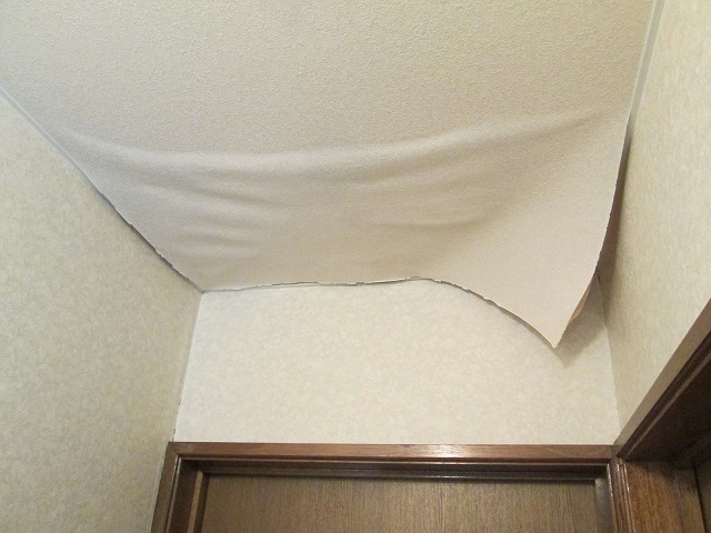 雨漏り