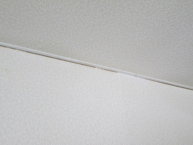 雨漏り被害