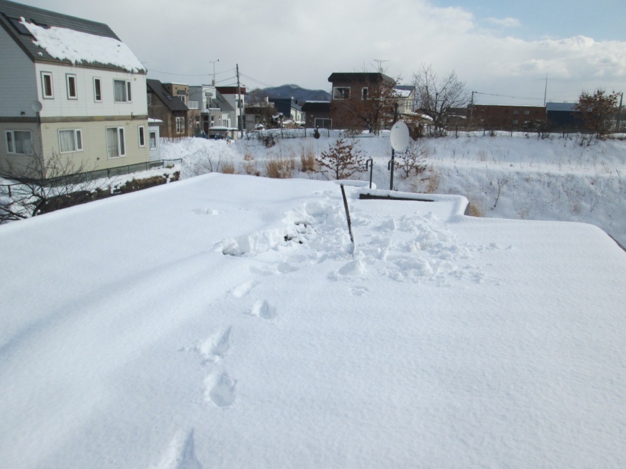 屋根雪除雪