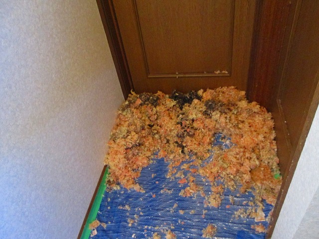 断熱材