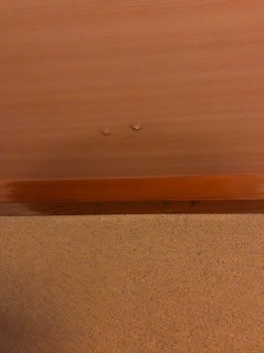 和室天井雨漏り