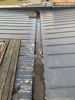 屋根ドレン