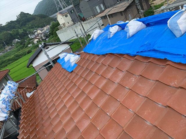 ブルーシートで雨養生をした瓦屋根