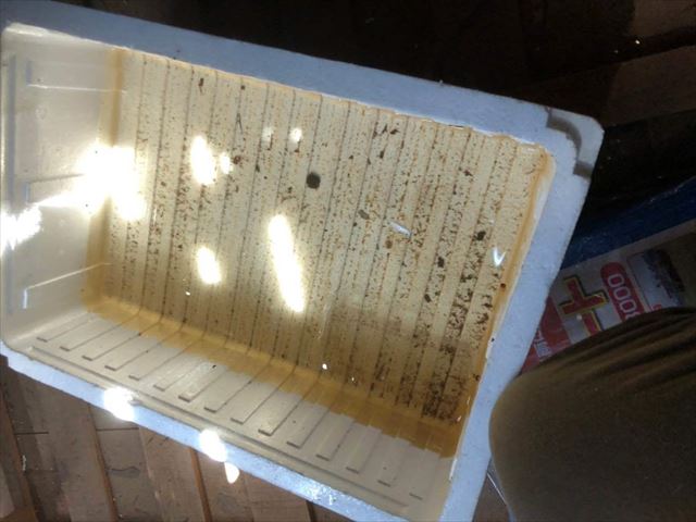 屋根裏に置いた発泡スチロールの箱
