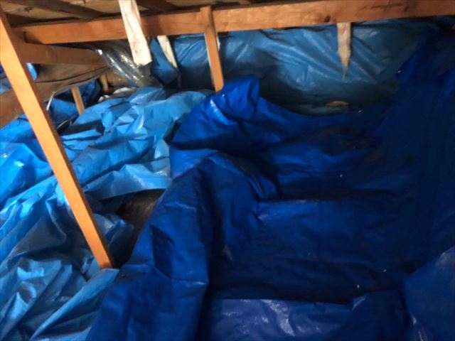 屋根裏に敷かれたブルーシート