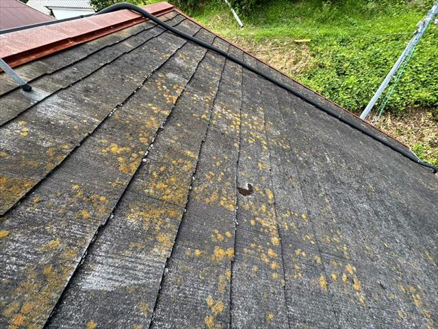 スレート屋根の苔