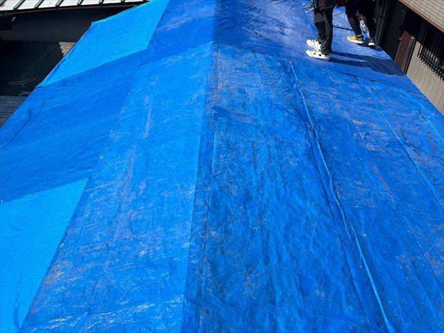 ルーフィング（防水紙）にブルーシートで雨養生