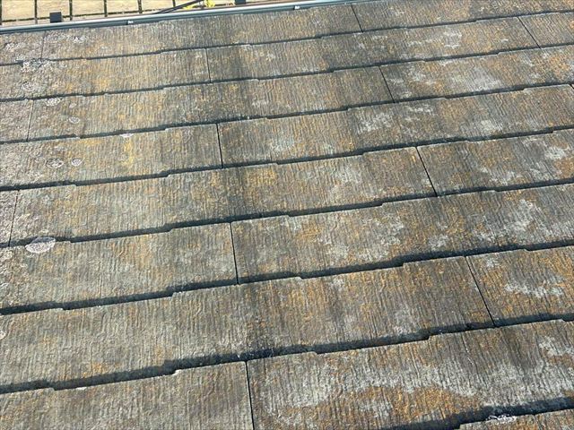 スレート屋根の苔やカビ