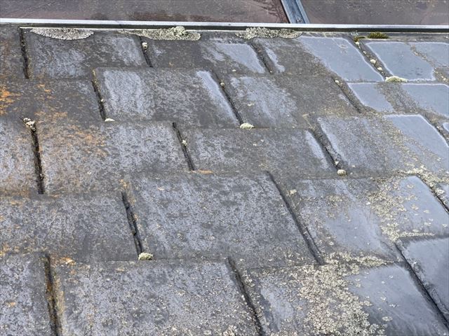 コケ・カビの発生したスレート屋根