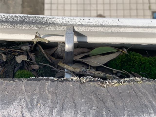 雨樋の落ち葉やコケ