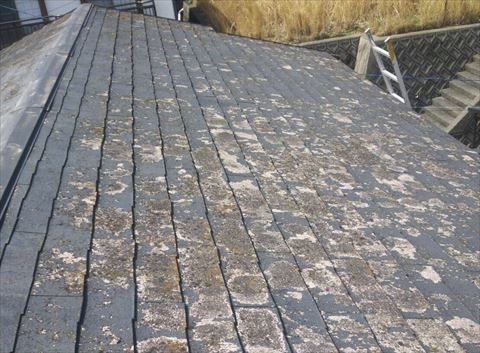 塗膜の剥がれたコロニアル屋根