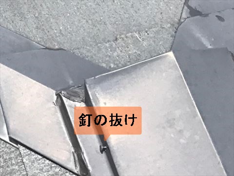 棟板金の釘の抜け