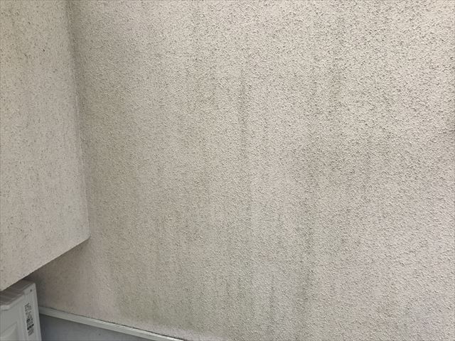 モルタル外壁のカビ