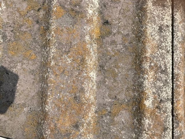 スカンジア瓦のアップ