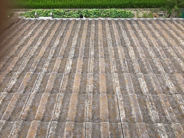 スカンジア瓦の屋根