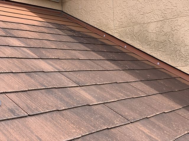 スレート黒カビ