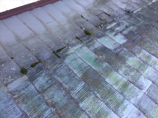 カビの発生したスレート
