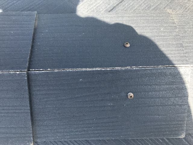 フリーリッジの棟