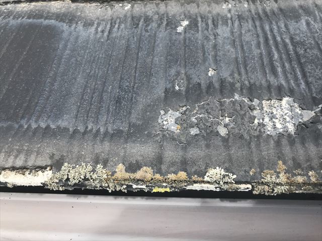 スレート屋根の苔・カビ