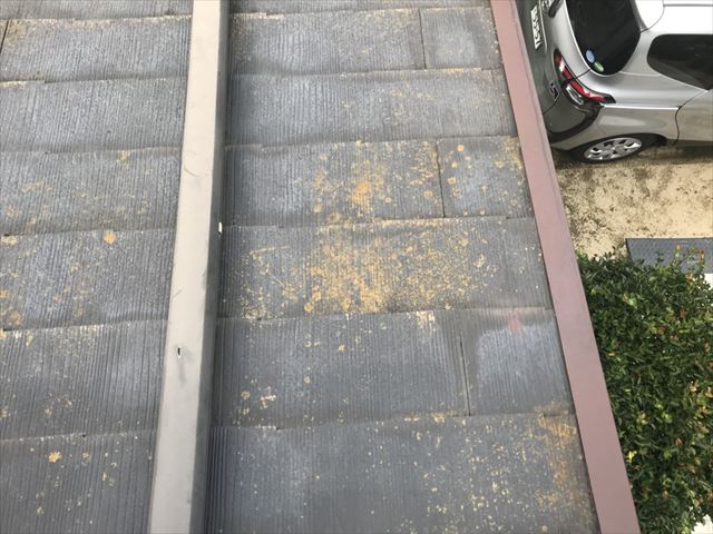 苔の繁殖したスレート屋根