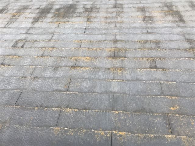 色あせやコケの発生したスレート屋根