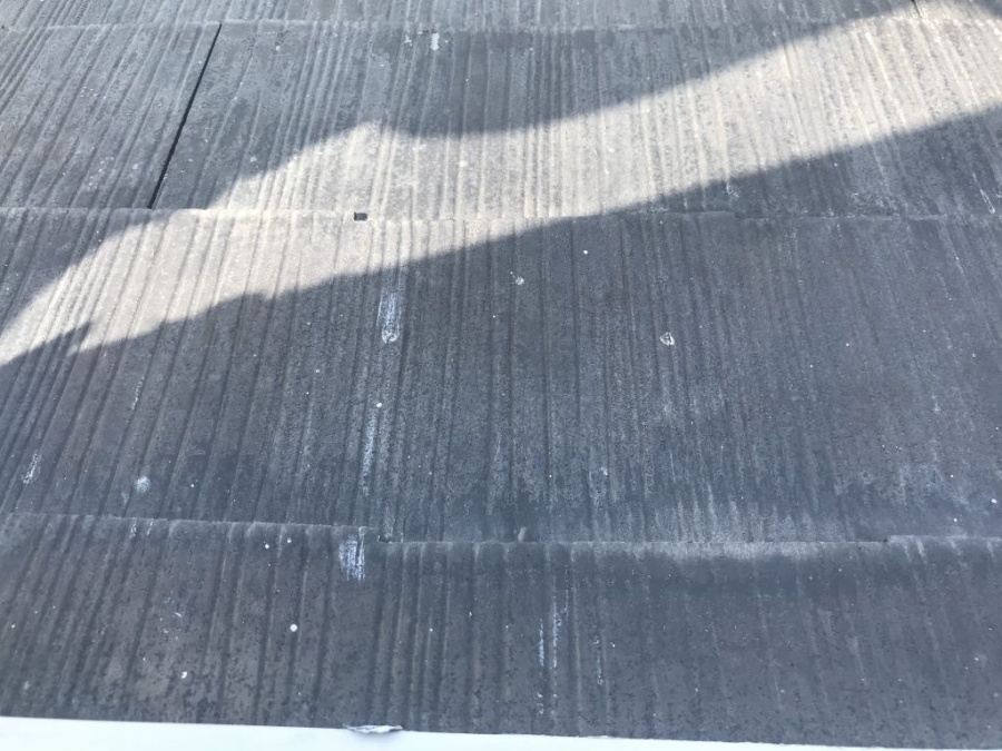 N邸カラーベスト浮き