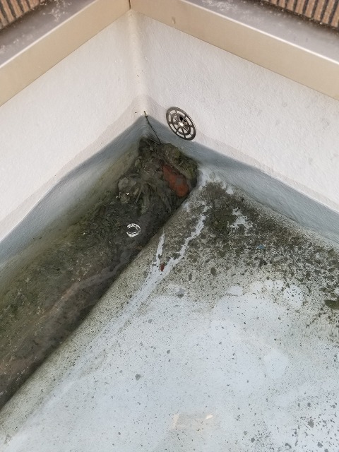 ベランダ詰まり