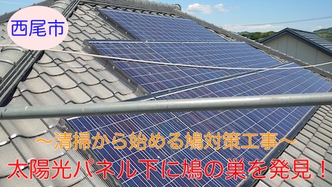 西尾市　鳩対策　清掃　太陽光パネル