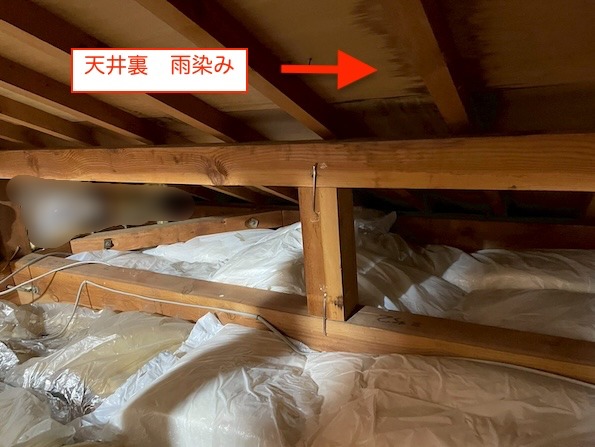 雨　染み　雨漏り　天井裏　確認