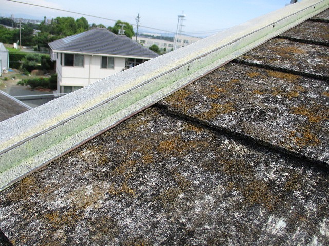 コロニアル　劣化アップ