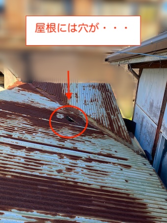 豊川市　トタン屋根　穴あき　直したい　波板　さび