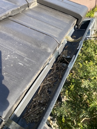 豊橋市　太陽光パネル　鳥の巣　被害　防鳥ネット　雨樋　詰まり　汚れ　