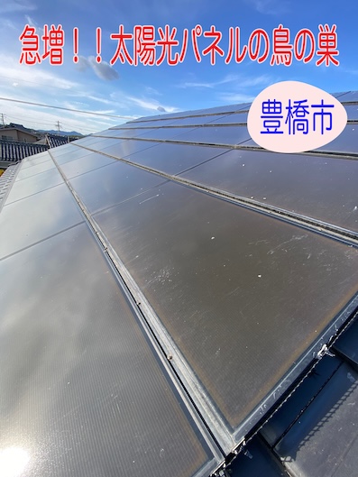 豊橋市　防鳥ネット　急増　鳥の巣　ハト　被害　太陽光パネル 　コーユー　バードブロッカー
