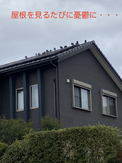 豊橋市　太陽光パネル　鳥の巣　被害　防鳥ネット　ソーラーフロンティア 鳩