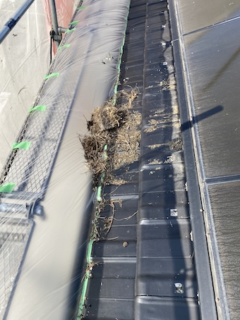 太陽光パネル　鳥の巣　屋根　清掃　養生