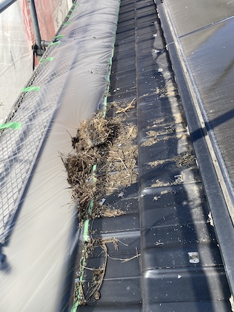 豊橋市　防鳥ネット　不具合　撤去　鳥の巣　ハト　被害　太陽光パネル 屋根　洗浄　清掃