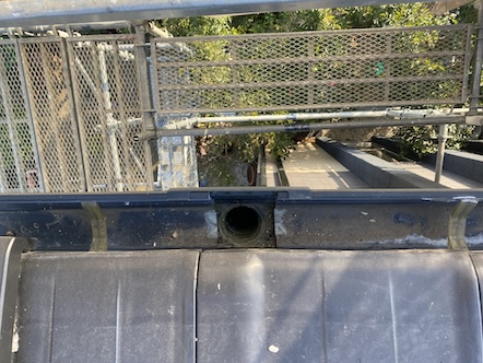 雨樋　清掃　鳥のフン　詰まり