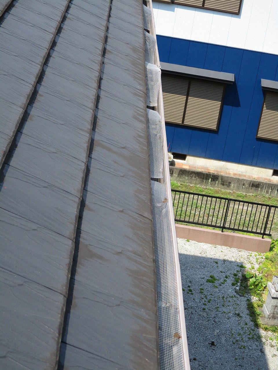 落ち葉除けネット