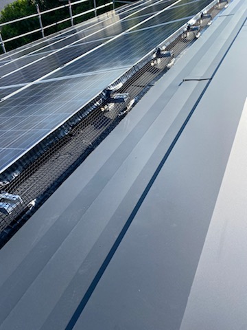 豊橋市　エバールーフ　金属屋根材　防鳥ネット　鳥の巣　ハト　被害