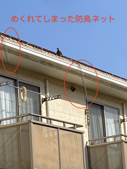 岡崎市　アパート　オーナー　屋根　鳩　鳥の巣　被害　再発　対策　ネット　営巣　太陽光パネル　めくれ