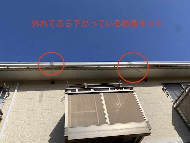 岡崎市　アパート　オーナー　屋根　鳩　鳥の巣　被害　再発　対策　ネット　営巣　太陽光パネル　めくれ
