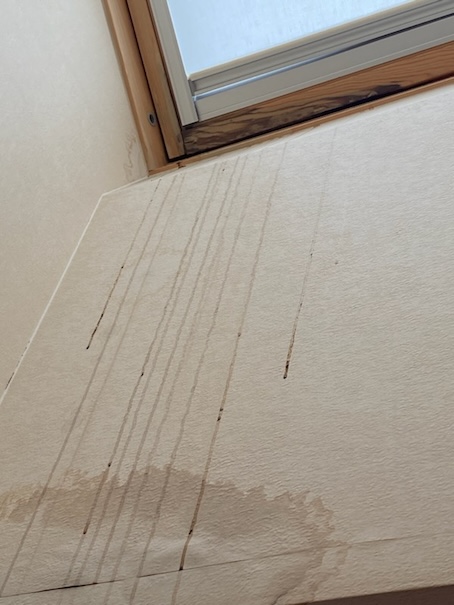 新城市　天窓　トップライト　雨漏り　修理