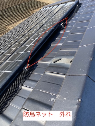 田原市　京セラ　太陽光　点検　防鳥ネット　外れ