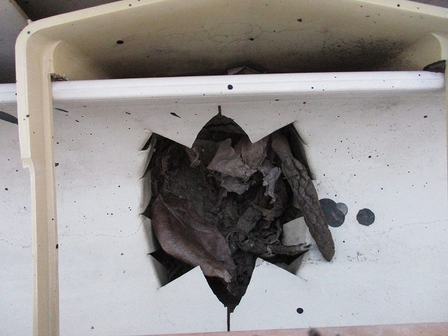 雨樋　落し口　詰まり