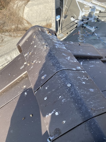 瓦　ふん　汚れ　糞害　はと