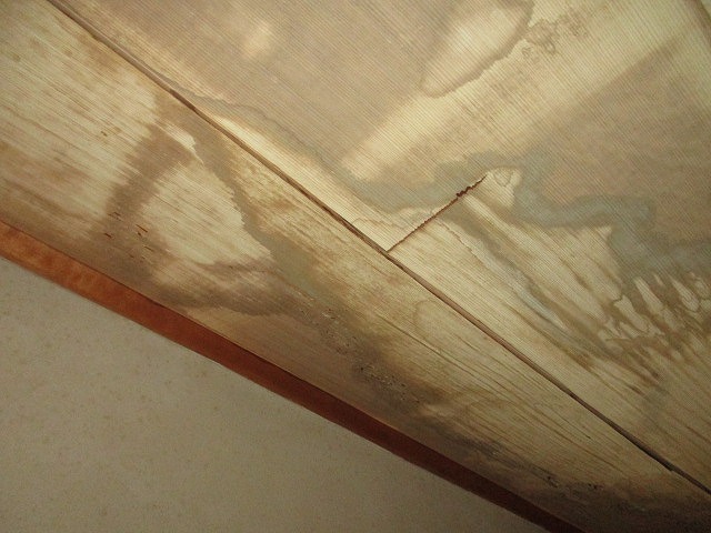 室内雨漏り箇所