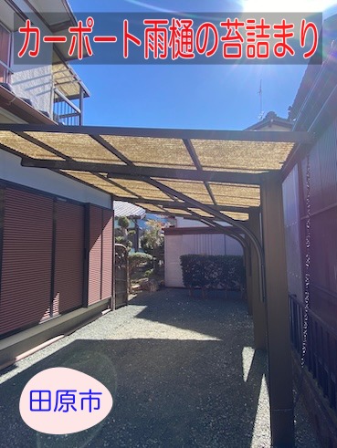 田原市　カーポート　屋根　ポリカーボネート　雨樋　苔　詰まり