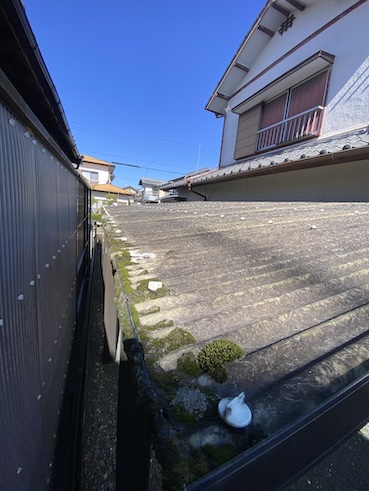 カーポート　屋根　ポリカーボネート　雨樋　苔　詰まり