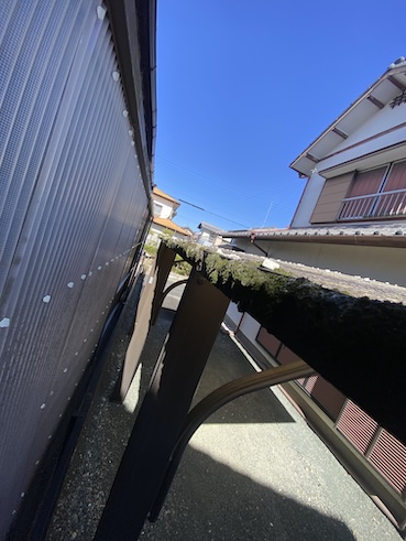 カーポート　屋根　ポリカーボネート　雨樋　苔　詰まり